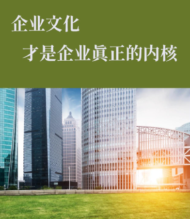 沈阳惠尔伟业科技政务网安防系统集成方案设计与实施要点